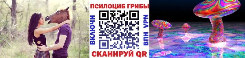 Псилоцибиновые грибы мицелий  Купить где  Омск 
