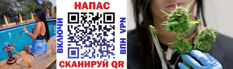 Купить где  Омск  Конопля SATIVA & INDICA 